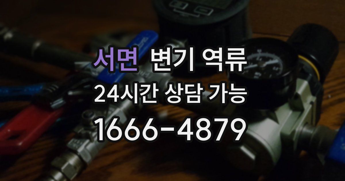 서면 변기 역류