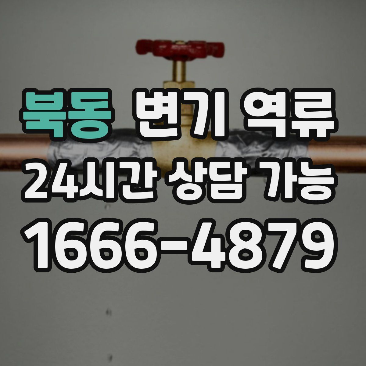 북동 변기 역류