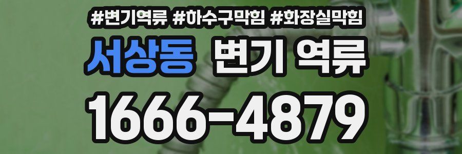 서상동 변기 역류