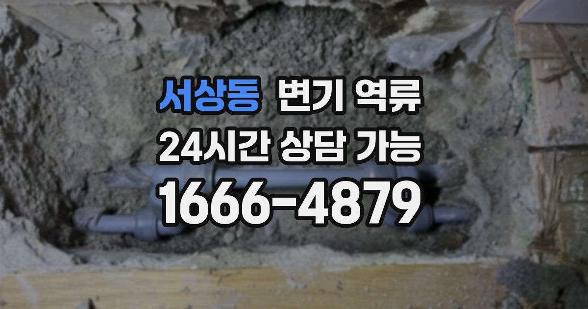 서상동 변기 역류