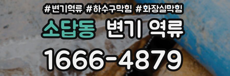 소답동 변기 역류