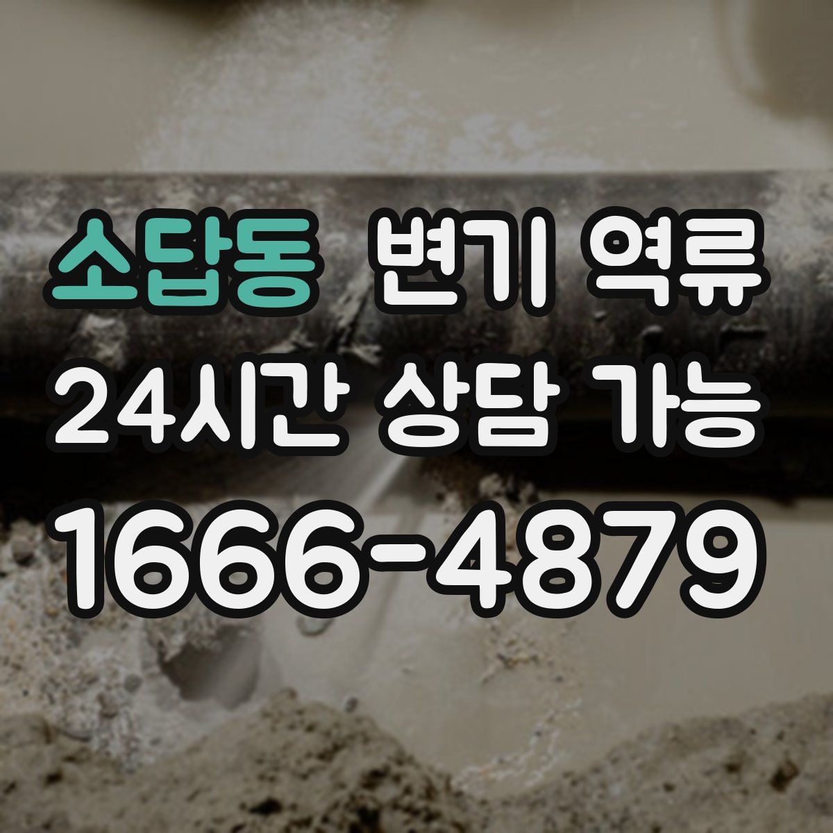 소답동 변기 역류