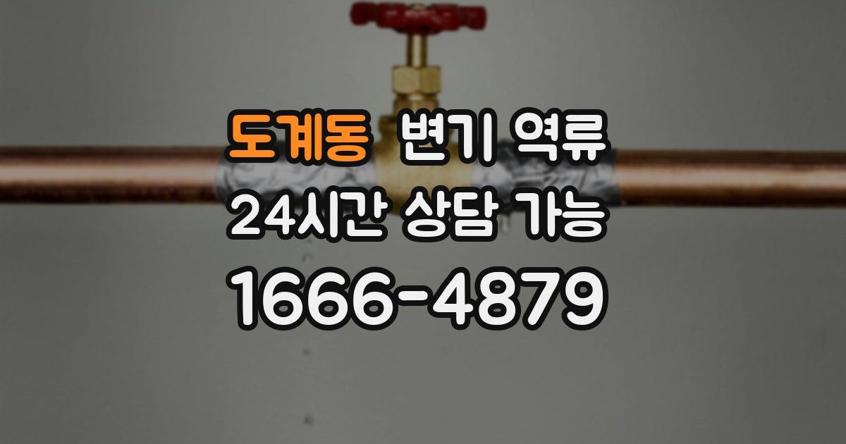 도계동 변기 역류