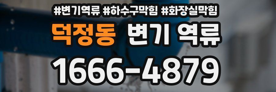 덕정동 변기 역류