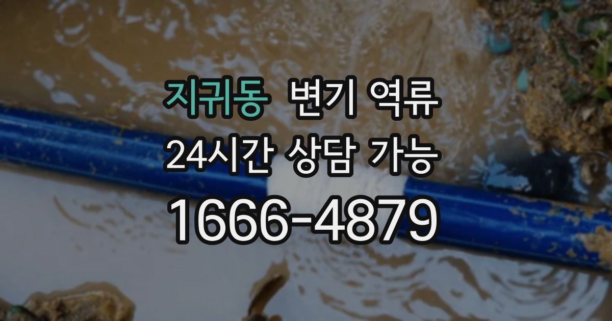 지귀동 변기 역류