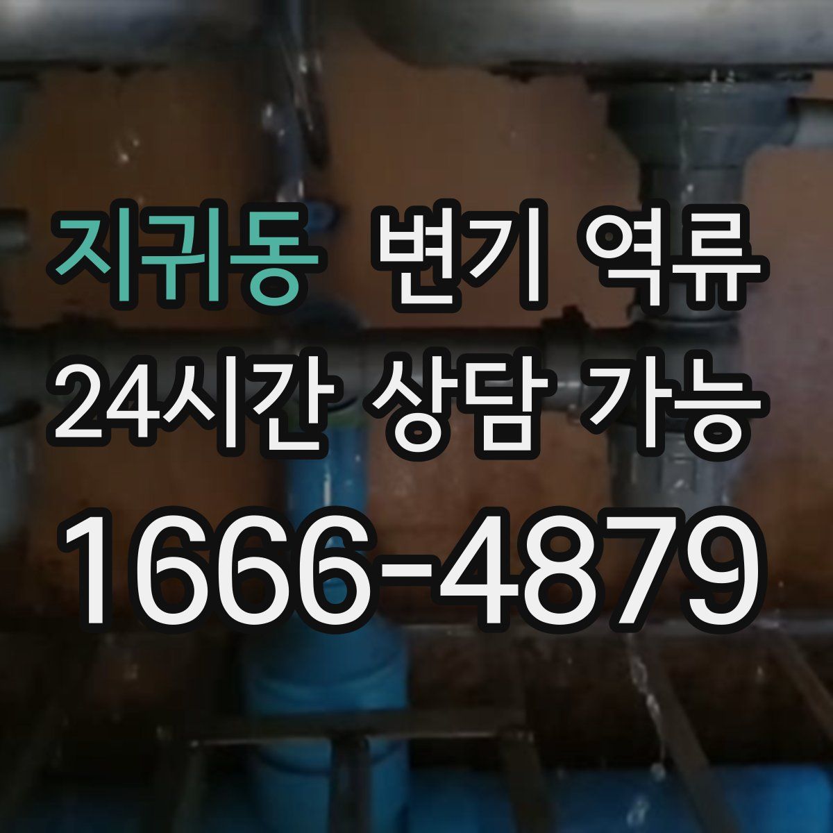 지귀동 변기 역류