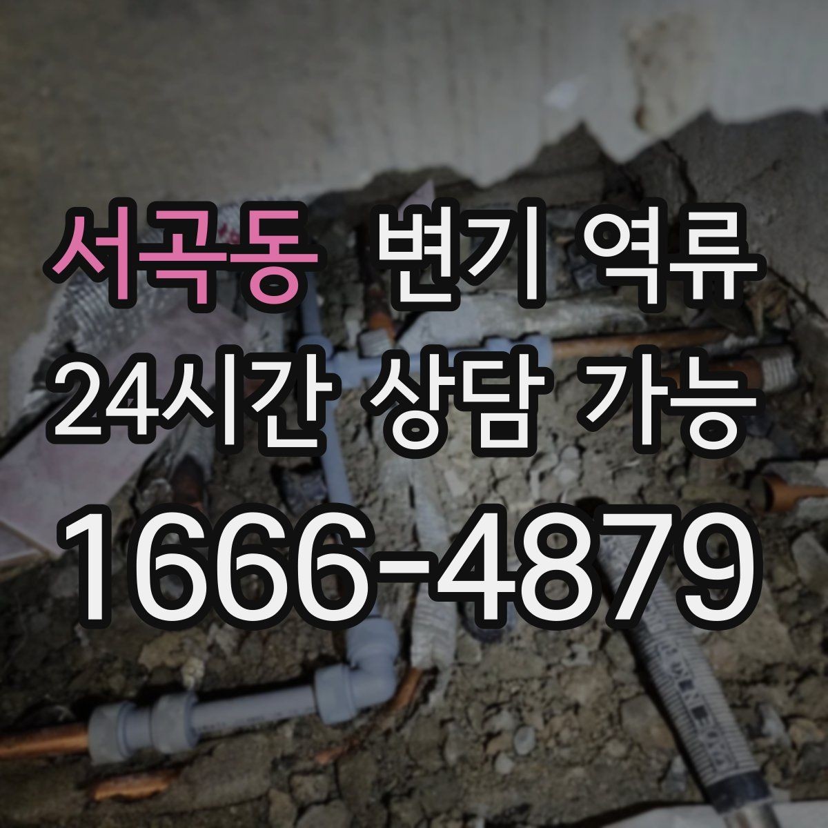 서곡동 변기 역류 바닥재 아래로 스며들면 생기는 2차 문제