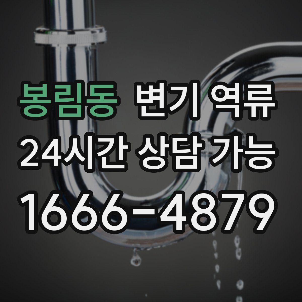 봉림동 변기 역류