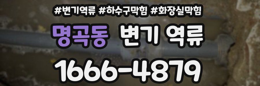 명곡동 변기 역류