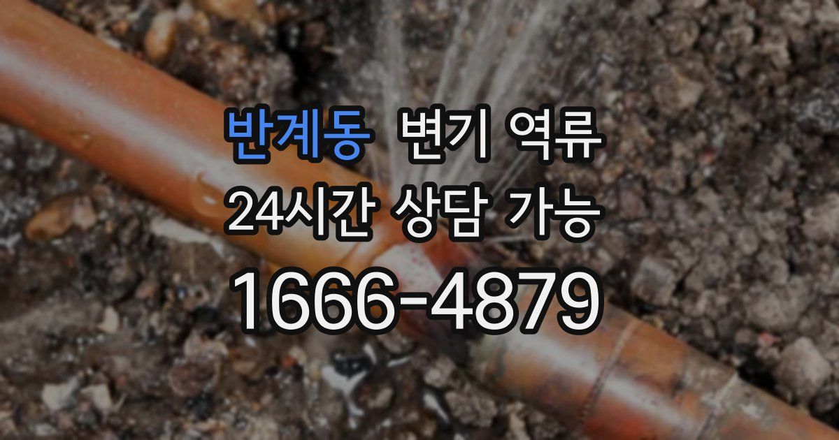 반계동 변기 역류