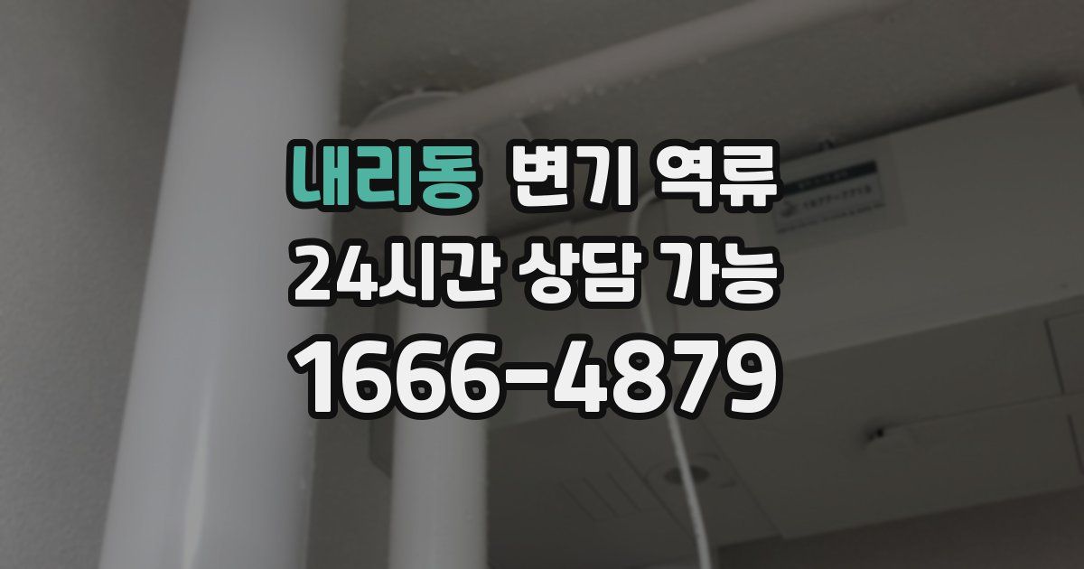 내리동 변기 역류