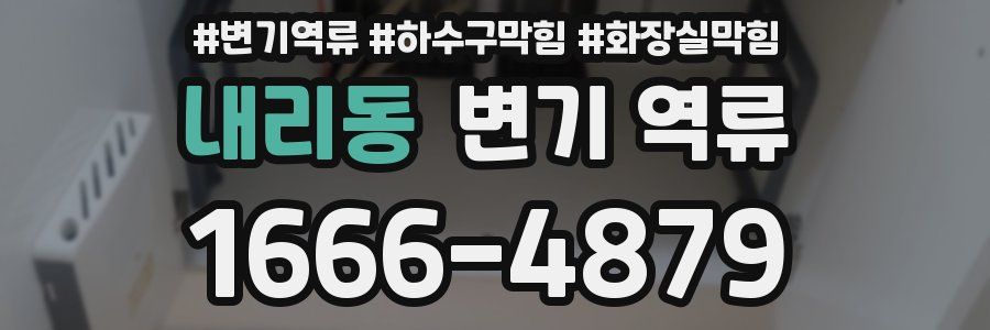 내리동 변기 역류