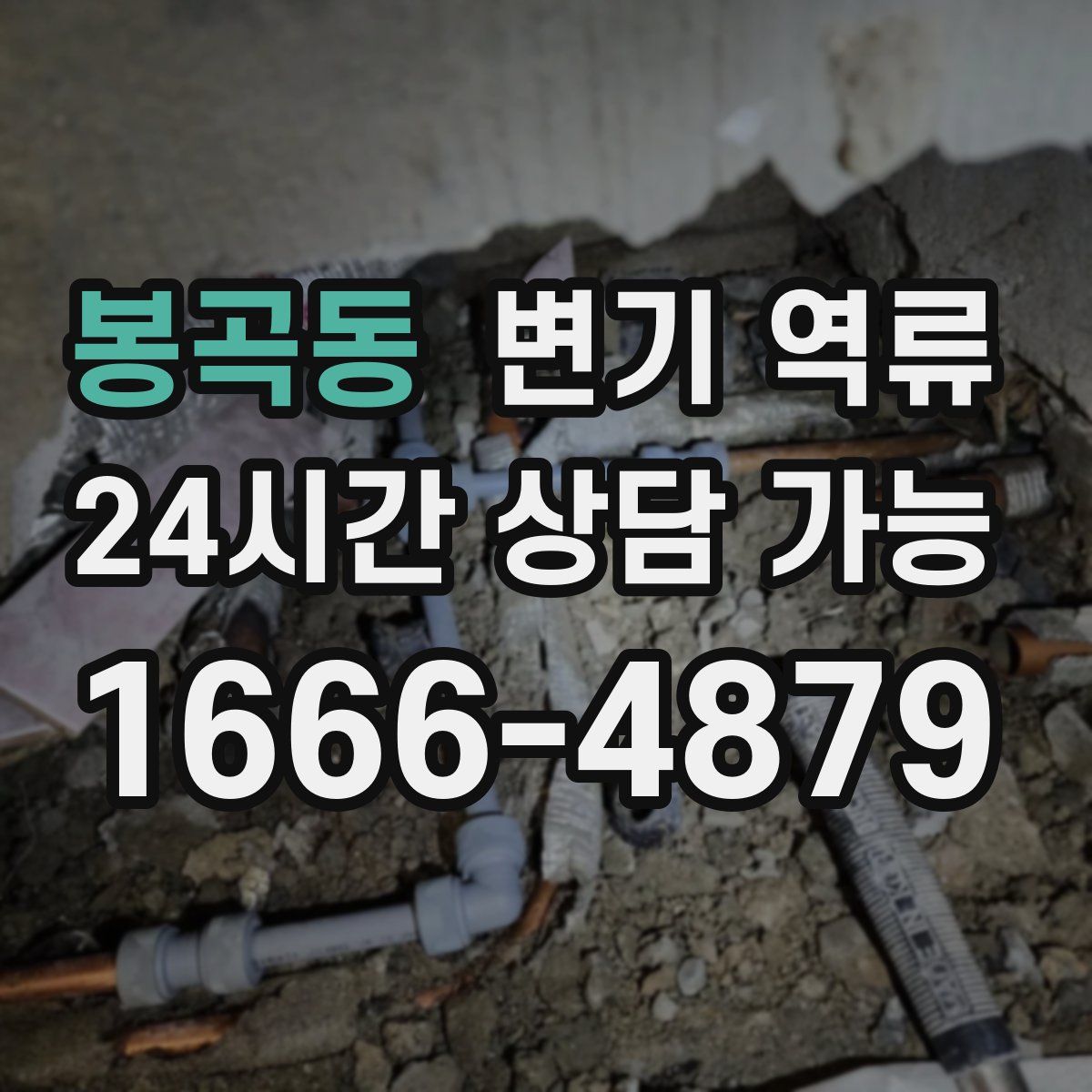 봉곡동 변기 역류