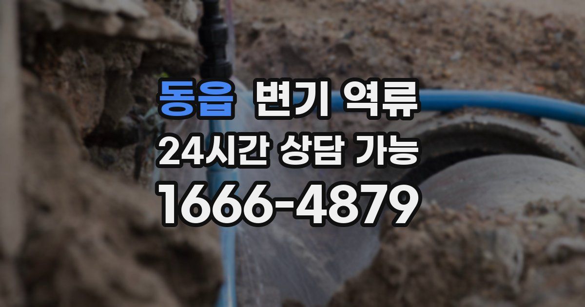 동읍 변기 역류