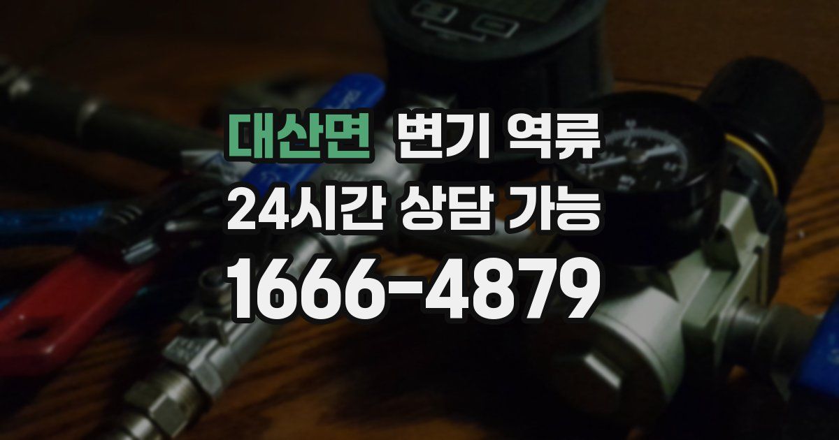 대산면 변기 역류