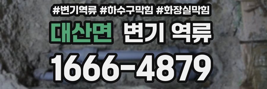 대산면 변기 역류