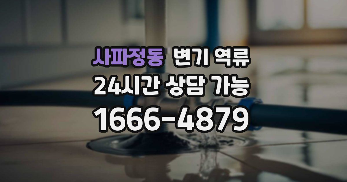 사파정동 변기 역류