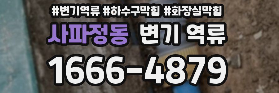 사파정동 변기 역류