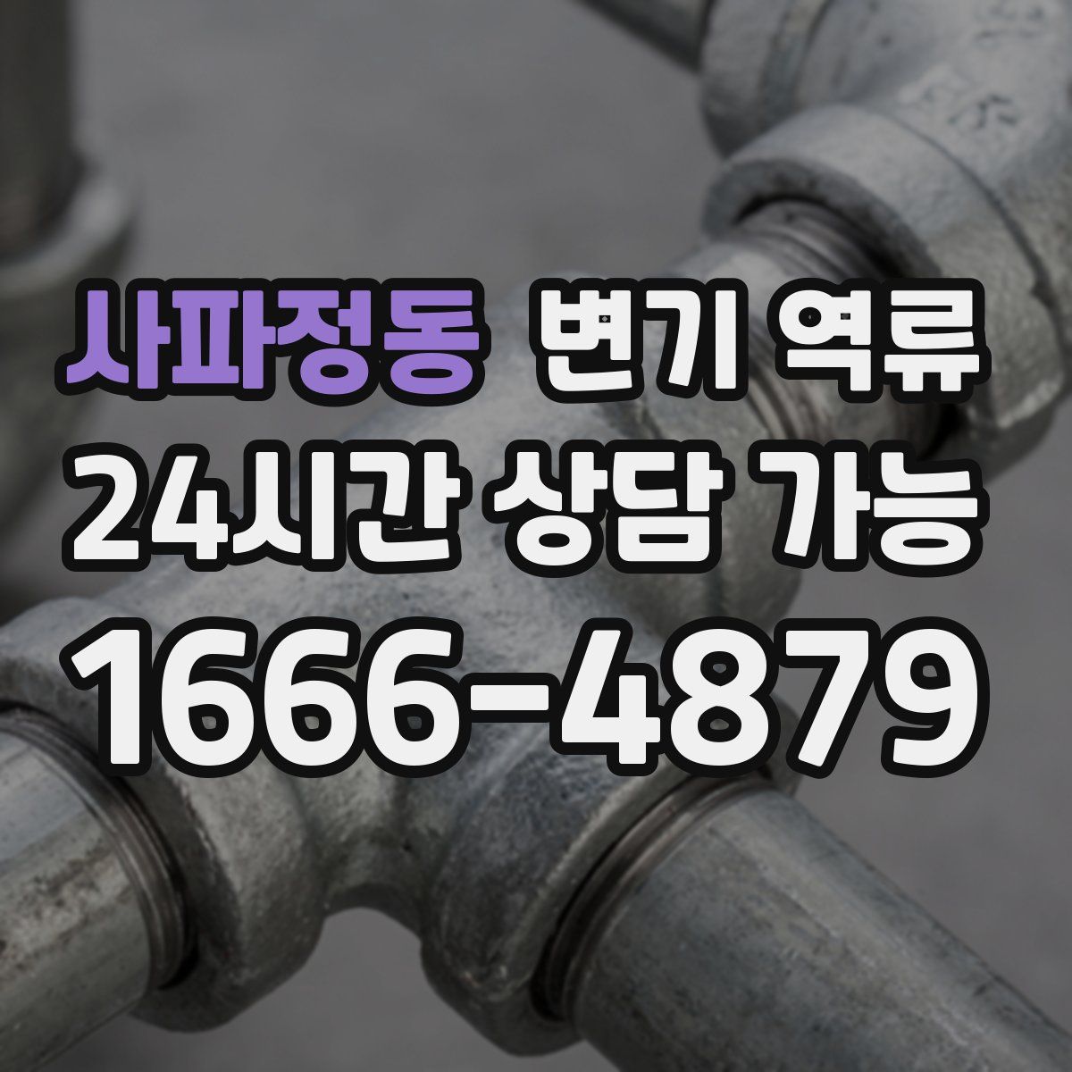 사파정동 변기 역류