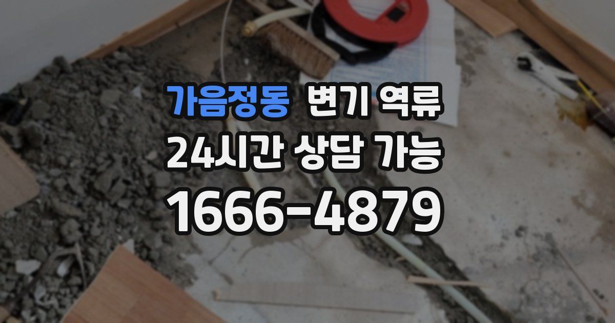 가음정동 변기 역류