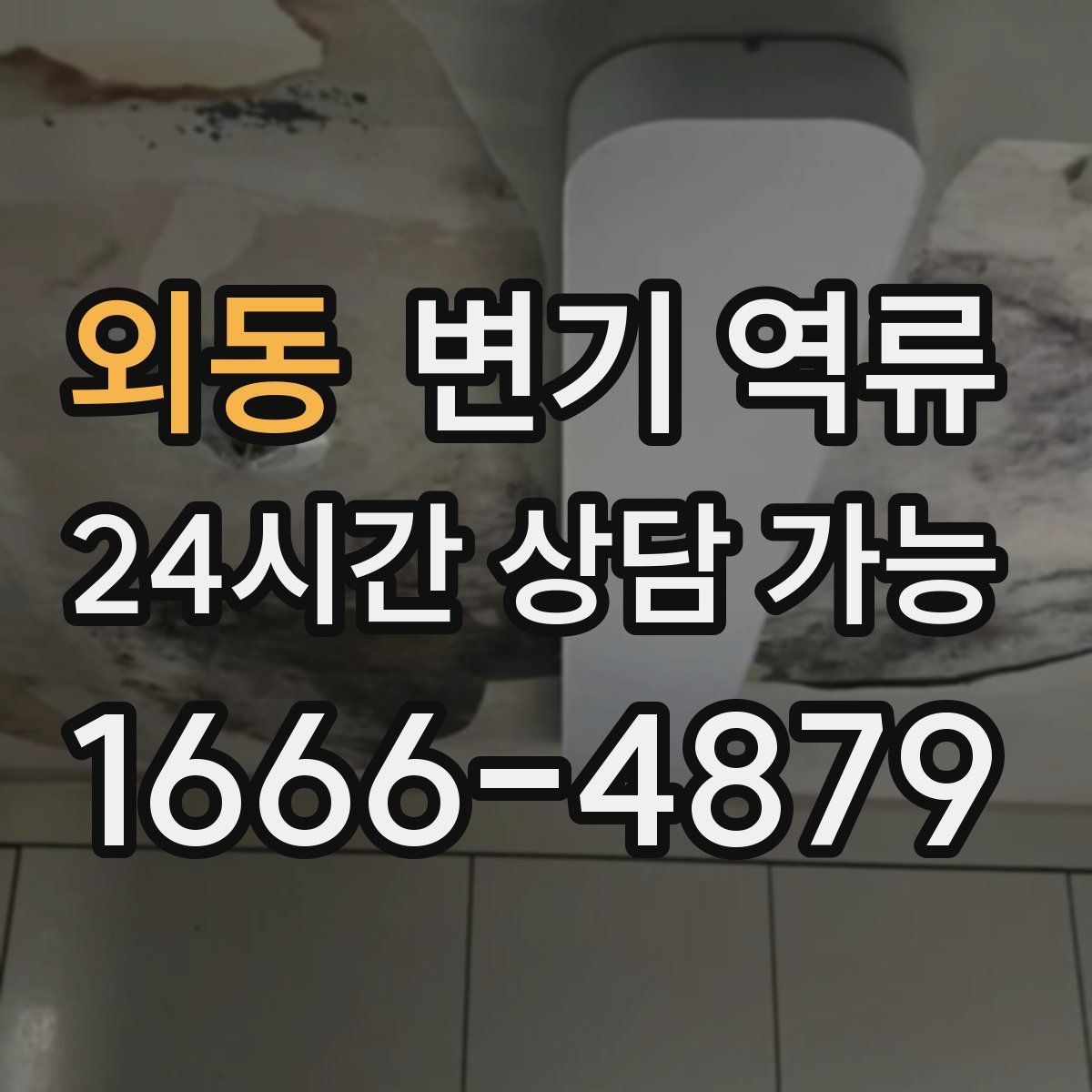 외동 변기 역류