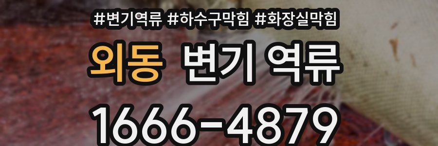 외동 변기 역류