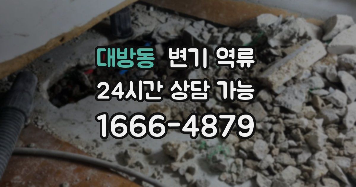 대방동 변기 역류