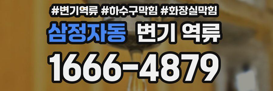 삼정자동 변기 역류