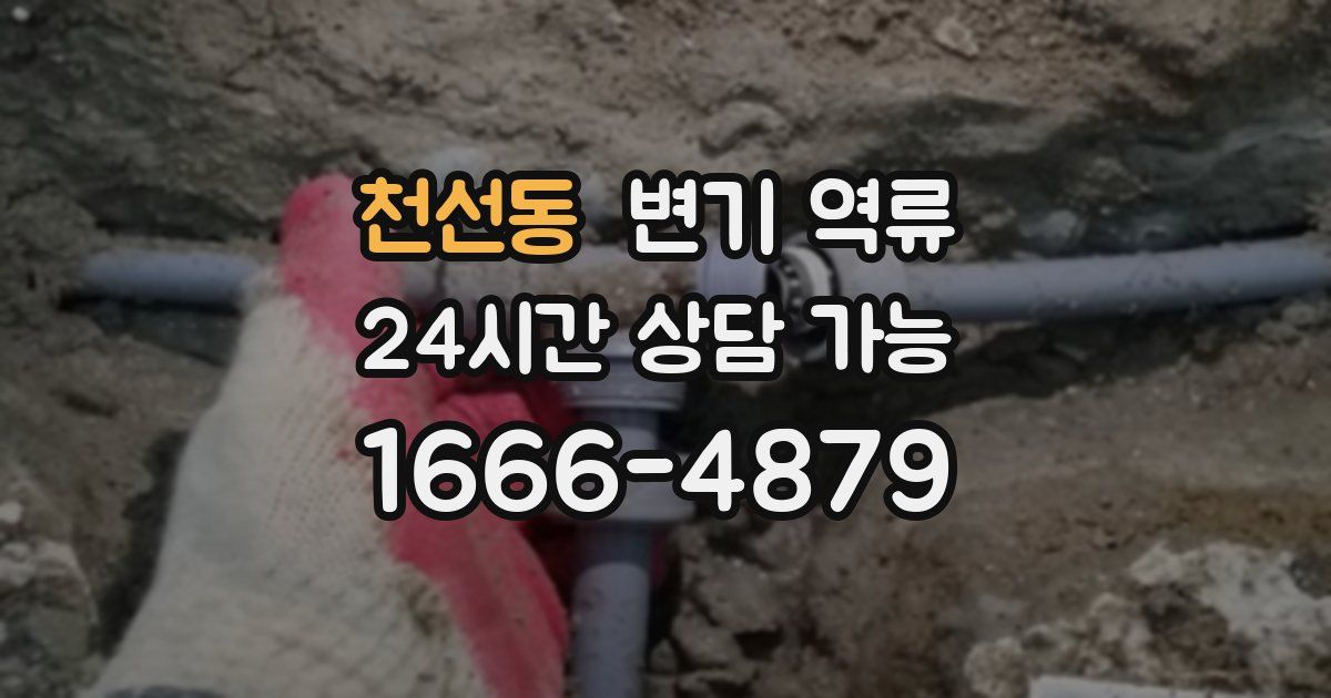 천선동 변기 역류