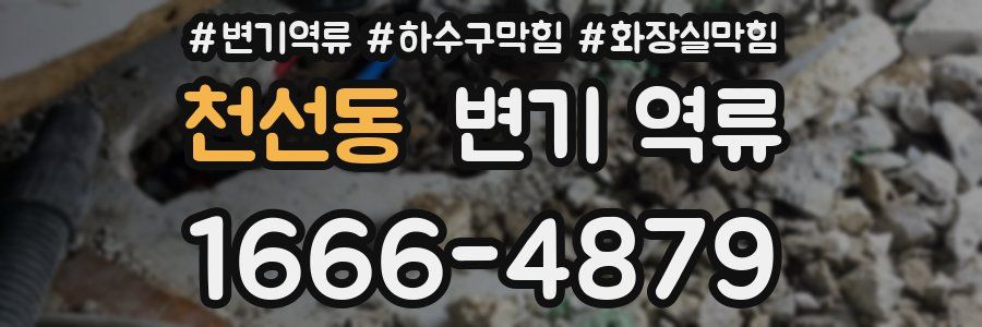 천선동 변기 역류