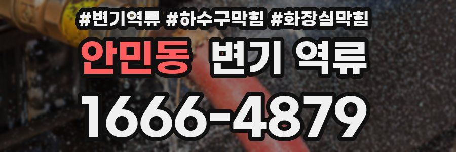 안민동 변기 역류