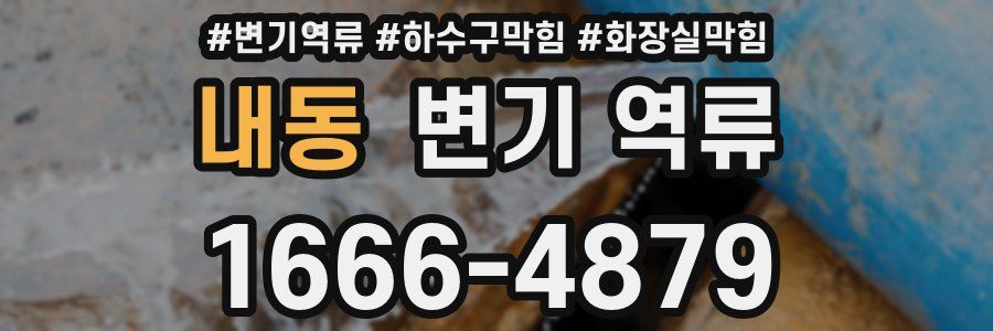 내동 변기 역류