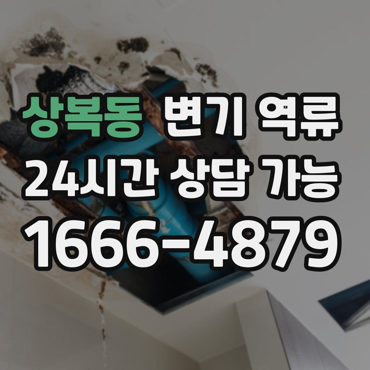 상복동 변기 역류 우수관과 오수관 문제가 섞일 수 있을까