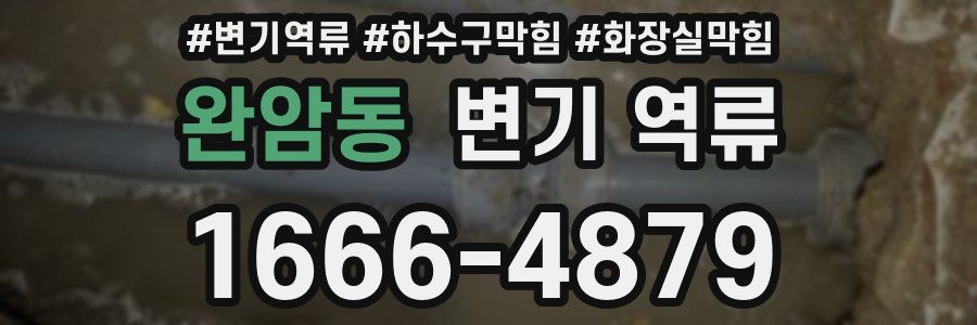 완암동 변기 역류