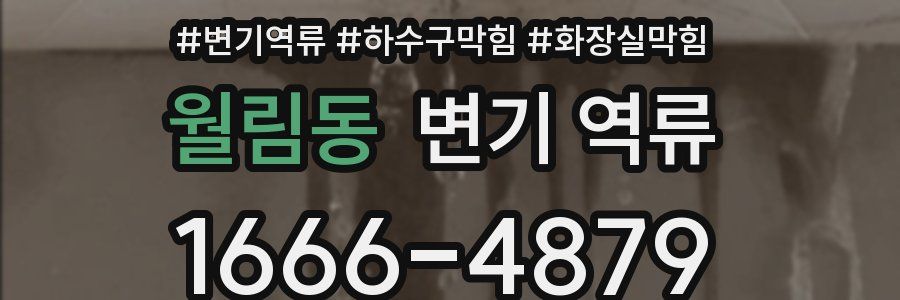 월림동 변기 역류