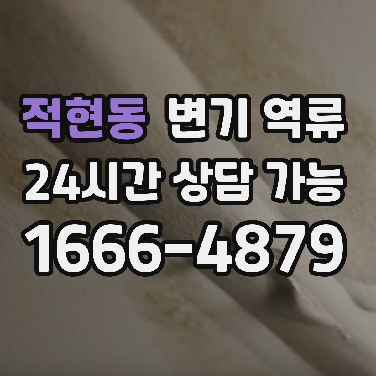 적현동 변기 역류