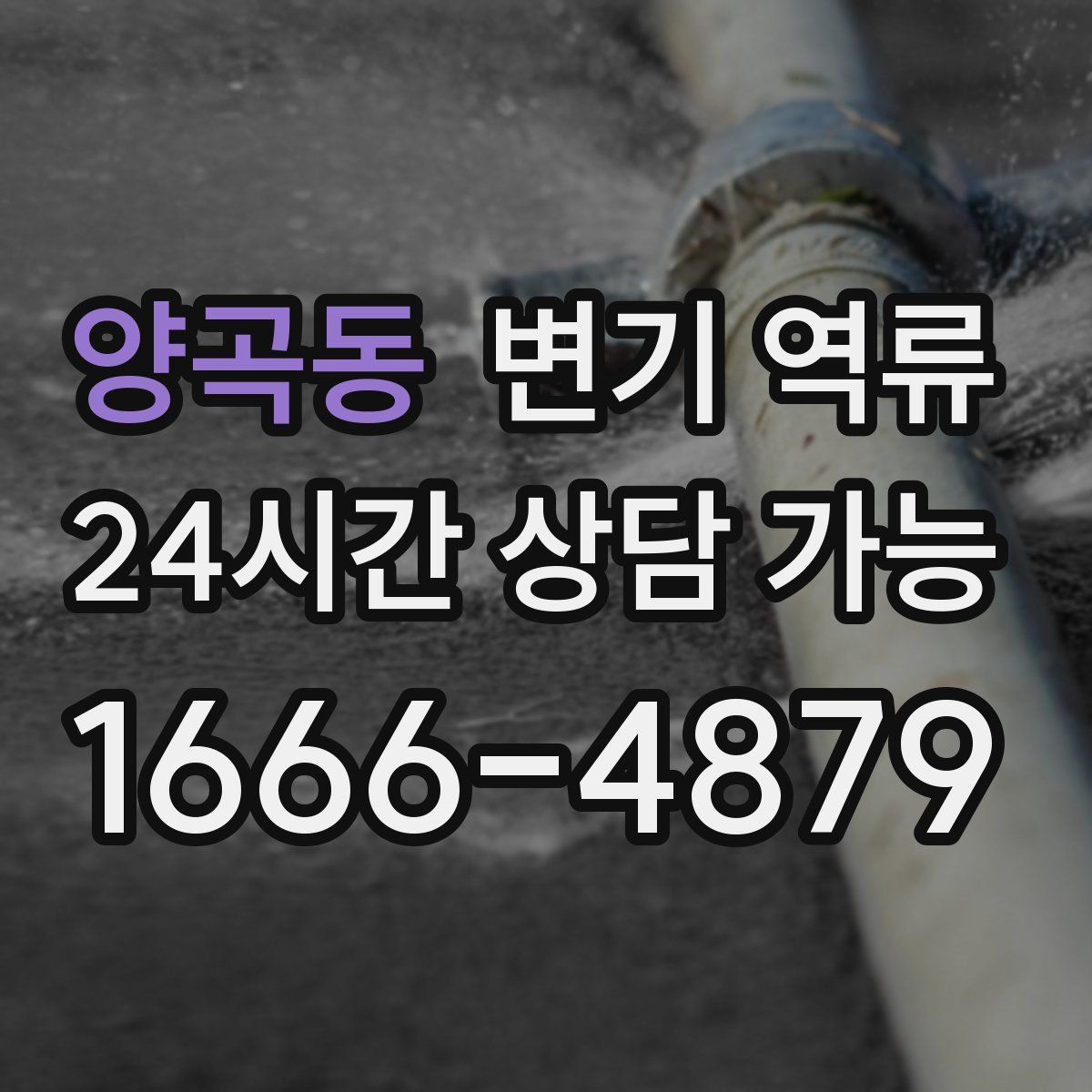 양곡동 변기 역류