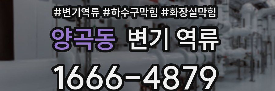 양곡동 변기 역류