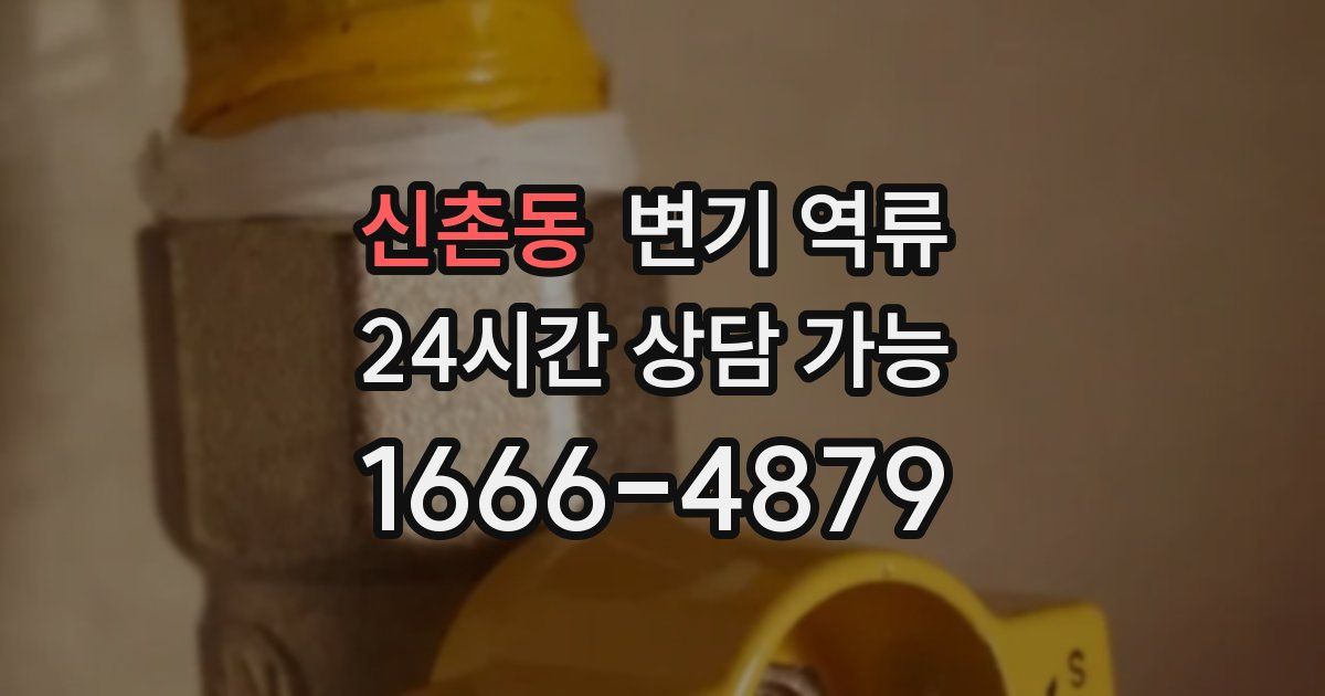 신촌동 변기 역류