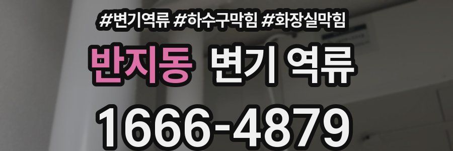 반지동 변기 역류