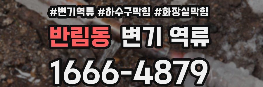 반림동 변기 역류