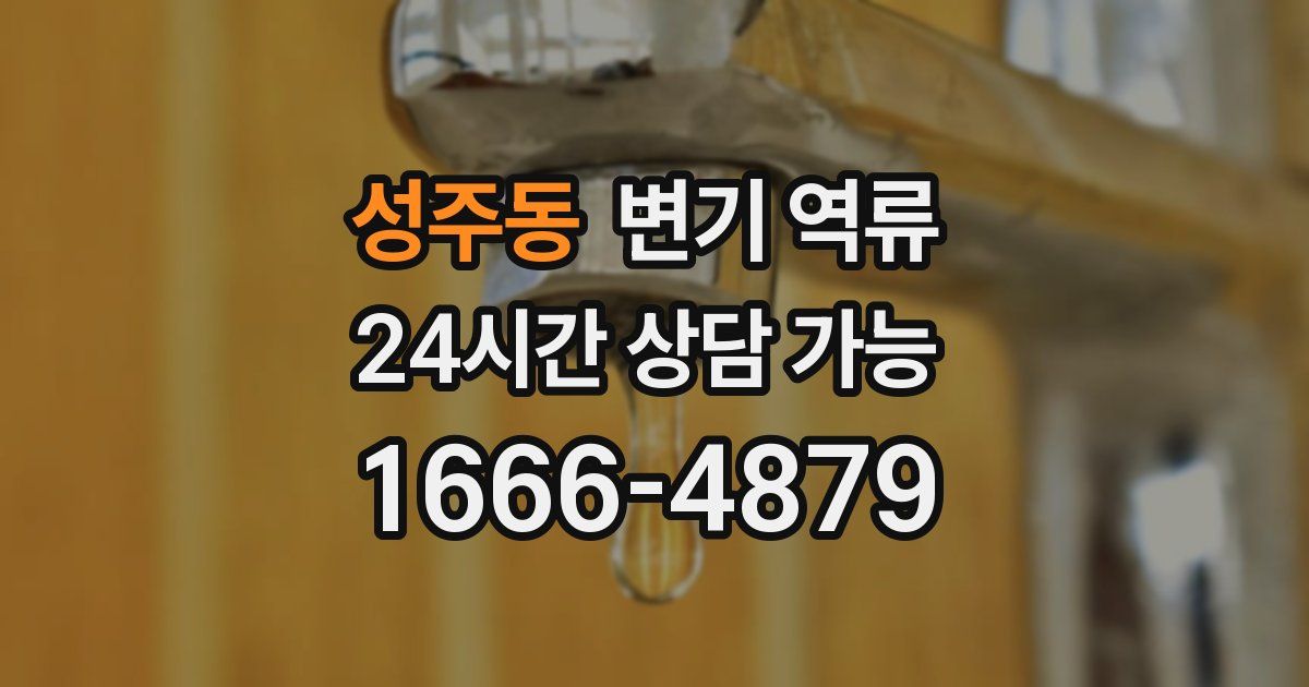 성주동 변기 역류