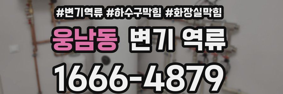 웅남동 변기 역류