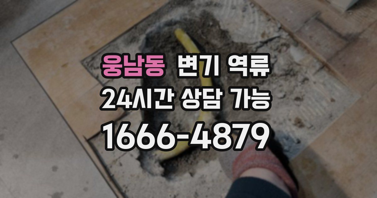 웅남동 변기 역류