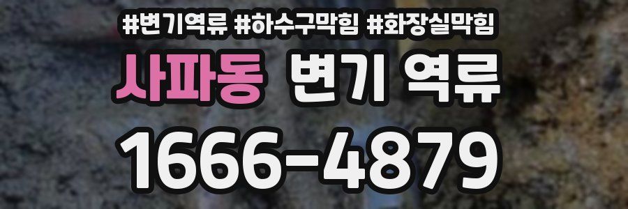 사파동 변기 역류