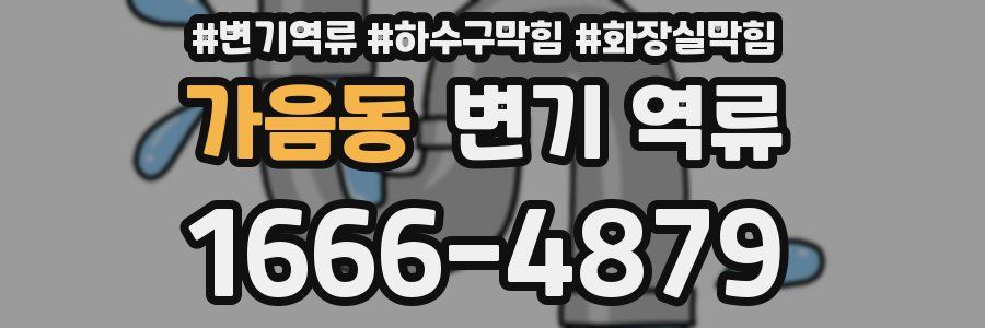 가음동 변기 역류