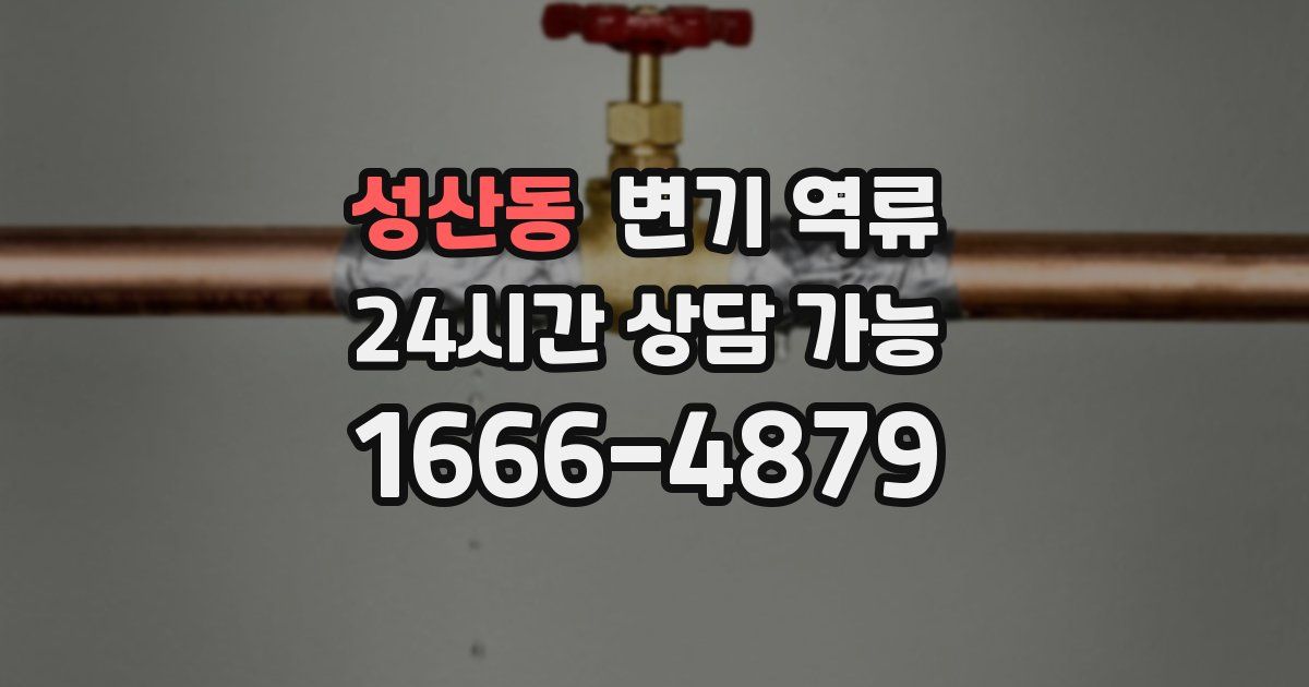 성산동 변기 역류