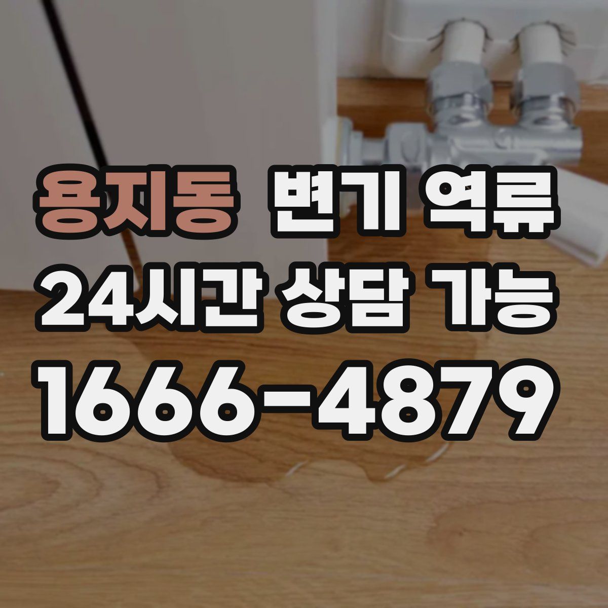 용지동 변기 역류