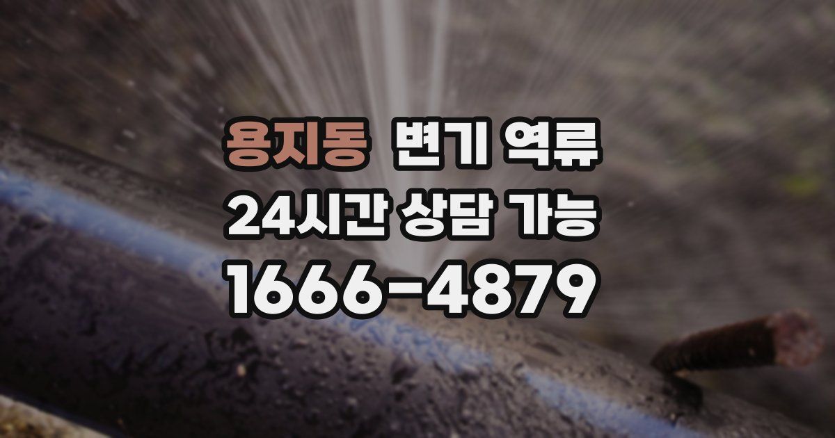 용지동 변기 역류