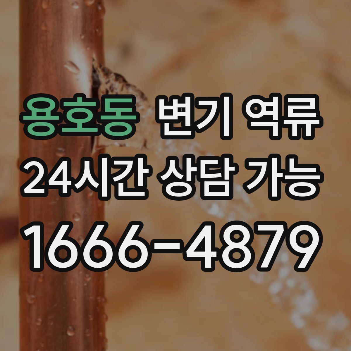 용호동 변기 역류